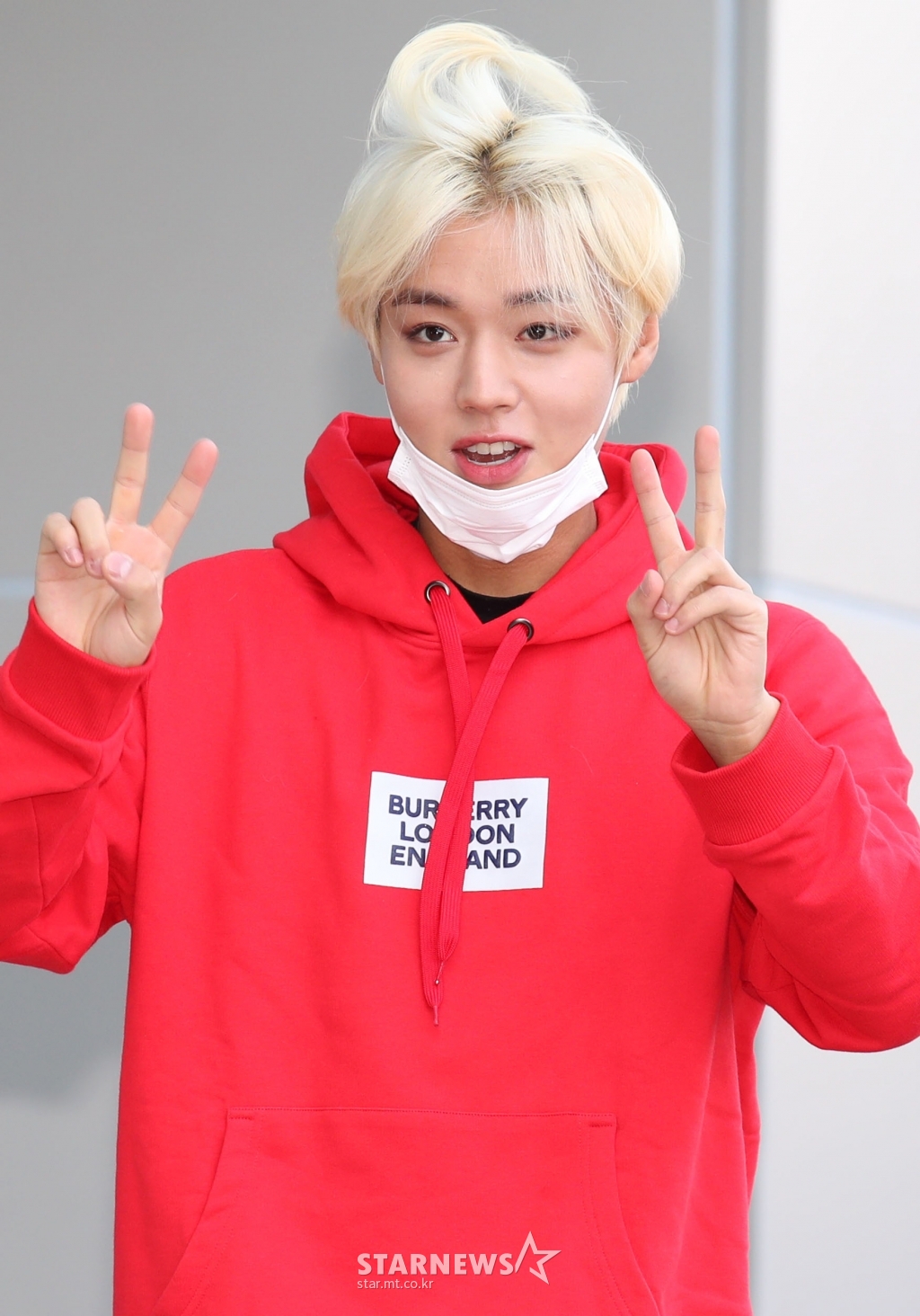 사진
