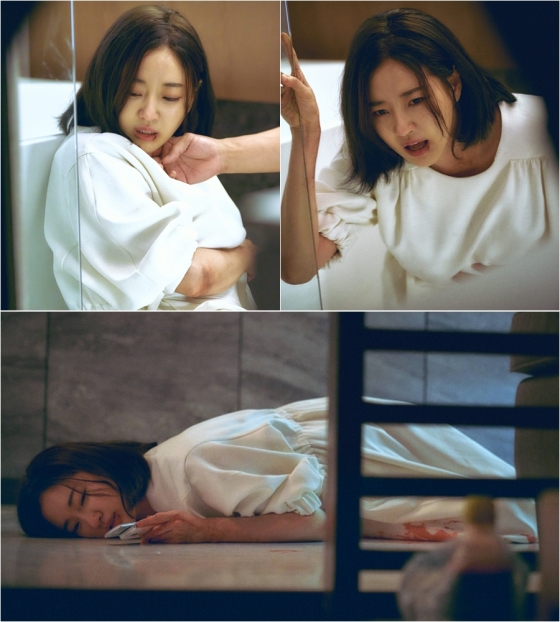 /사진제공=TV조선