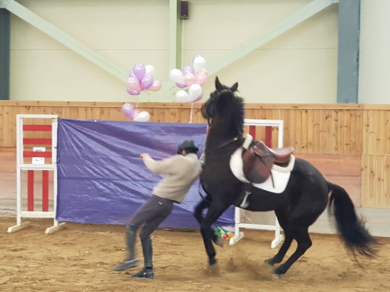 /사진제공=한국마사회