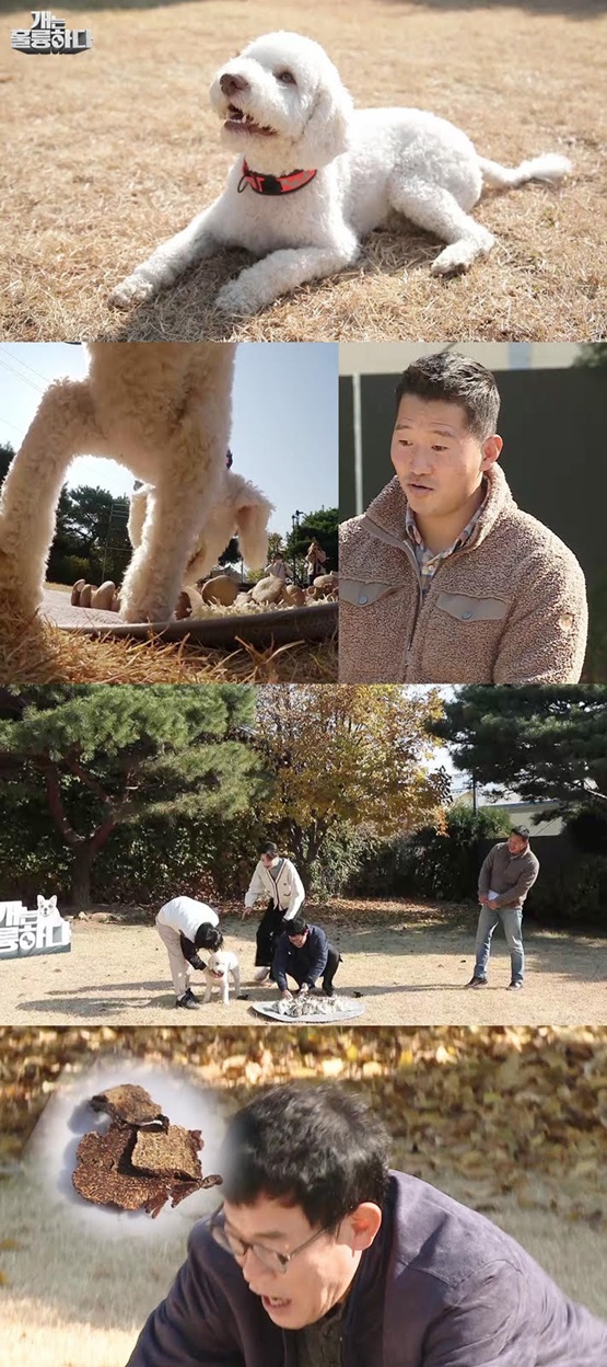 /사진='개는 훌륭하다'