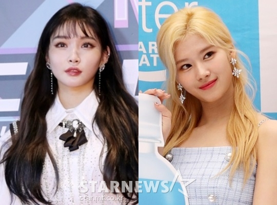 청하, 트와이스 사나 / 사진=스타뉴스