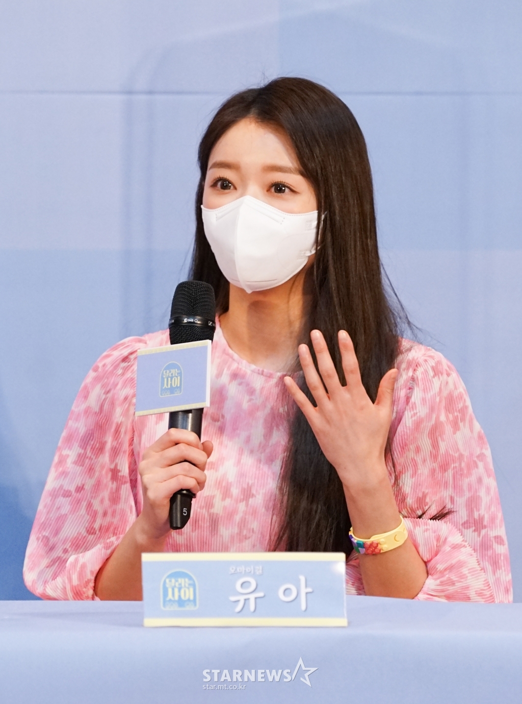 사진