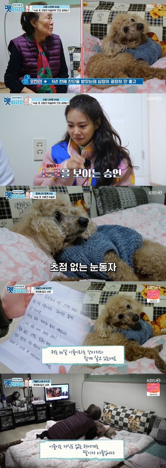 /사진= KBS 2TV 예능 '펫 비타민' 방송 화면