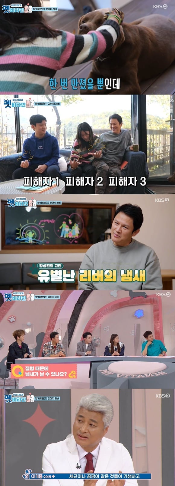 /사진= KBS 2TV 예능 '펫 비타민' 방송 화면