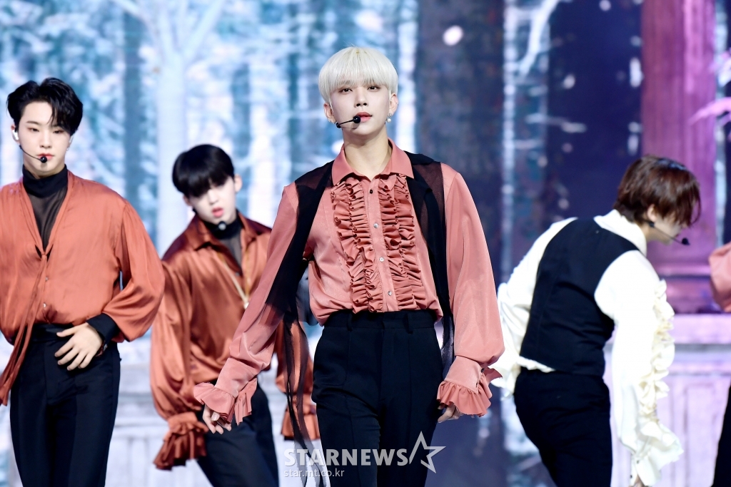 사진