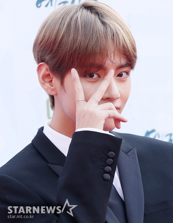 방탄소년단 뷔(BTS V) /사진=스타뉴스