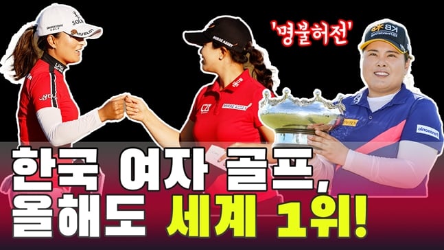 /그래픽=김혜림 기자