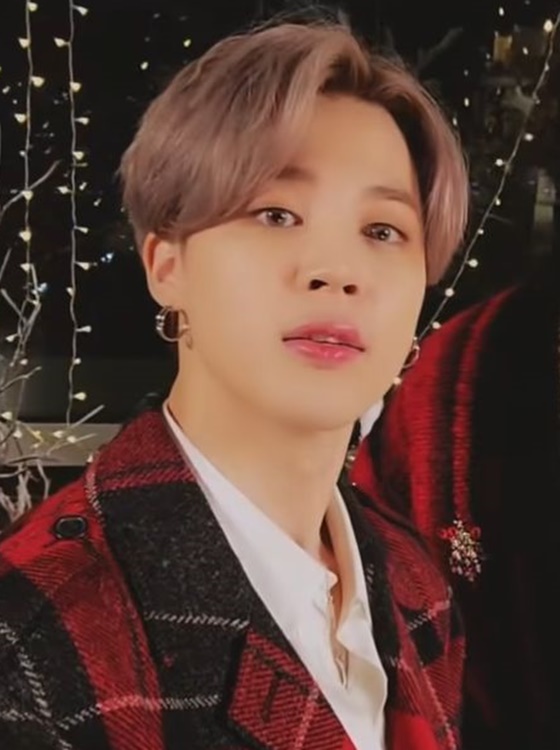 방탄소년단 지민(BTS JIMIN)