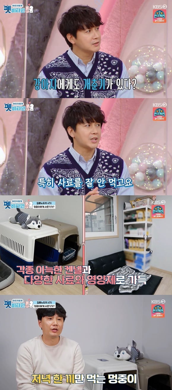 /사진= KBS 2TV 예능 '펫비타민' 방송 화면