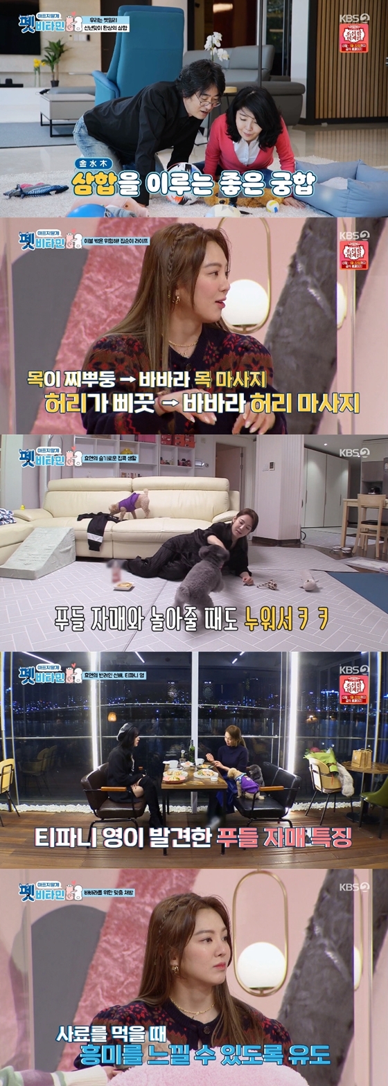 소녀시대 효연이 KBS 2TV '펫 비타민'에 반려견 바바라와 함께 출연했다./사진제공=KBS 2TV '펫 비타민'