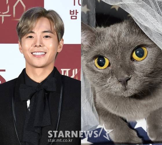 배우 박은석, 에이블 /사진=SBS, 온라인 커뮤니티