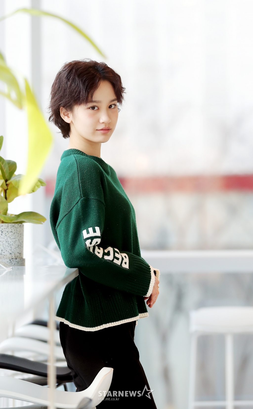 사진