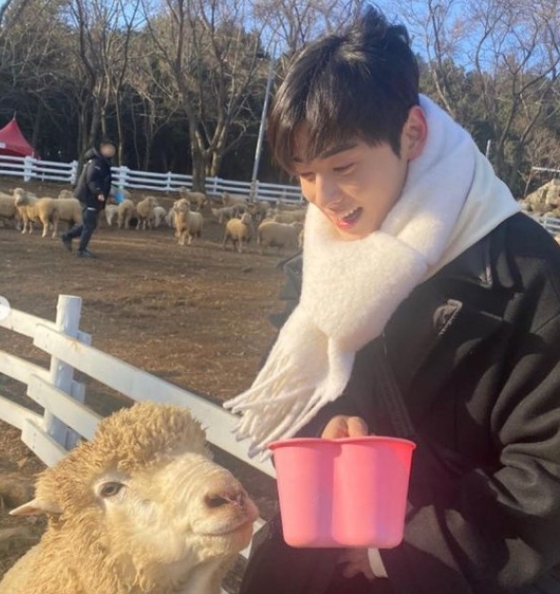 사진