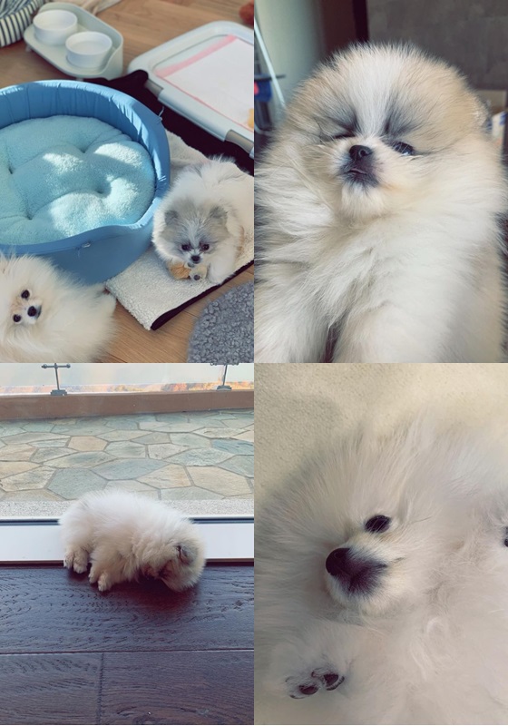 /사진=고소영 인스타그램