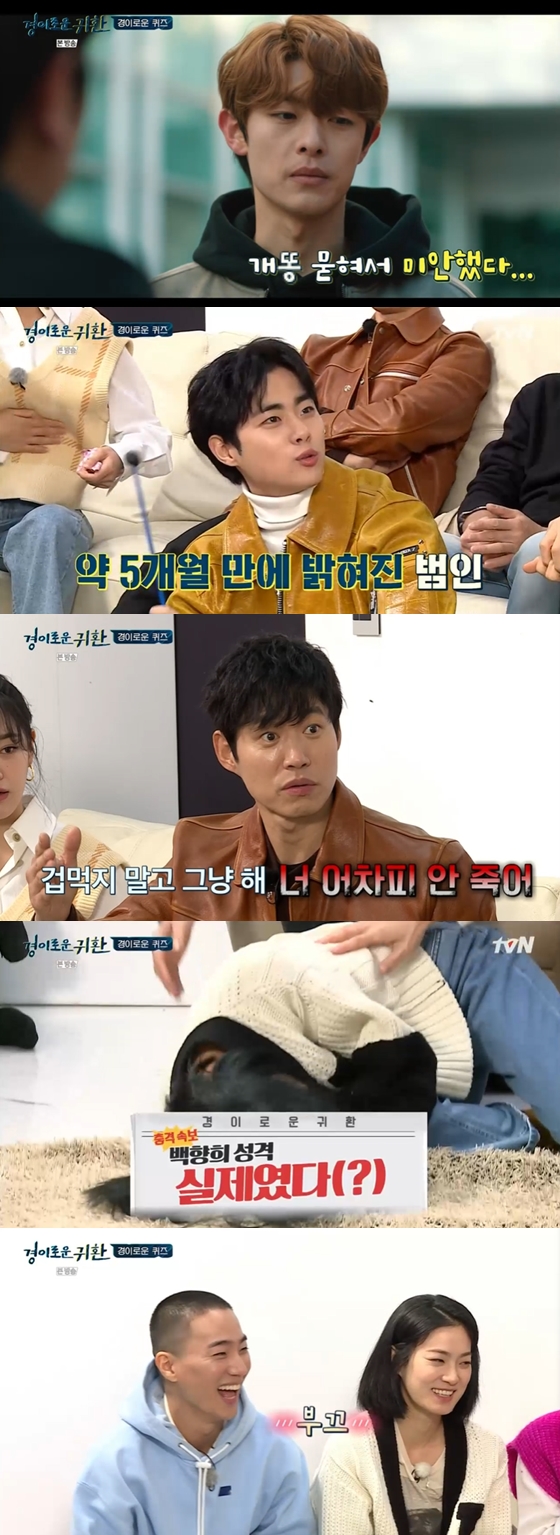 /사진=tvN '경이로운 귀환' 방송 화면 캡처