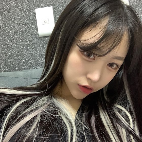 /사진=유튜버 조두팔 인스타그램