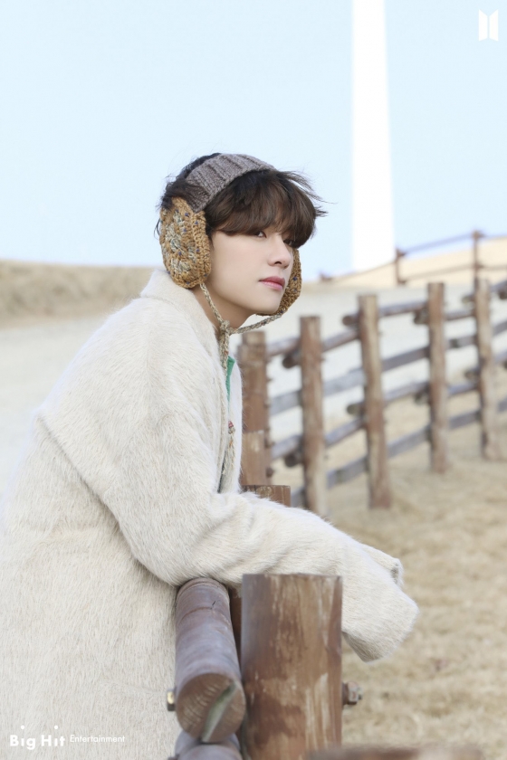 방탄소년단 뷔(BTS V)