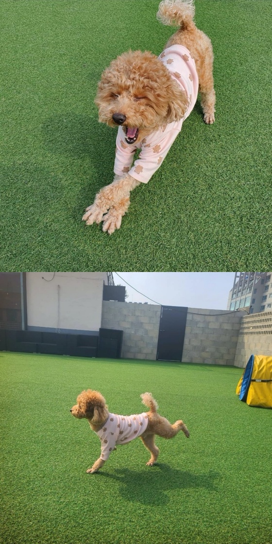 /사진=김수찬 인스타그램