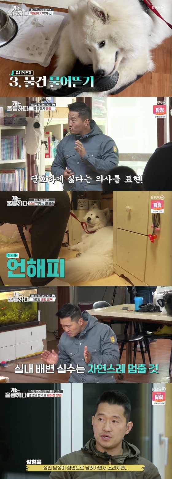 /사진=KBS 2TV '개는 훌륭하다' 방송화면 캡쳐