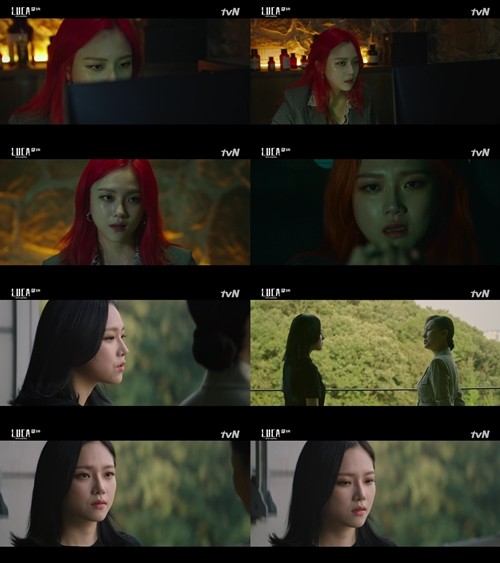 /사진=tvN