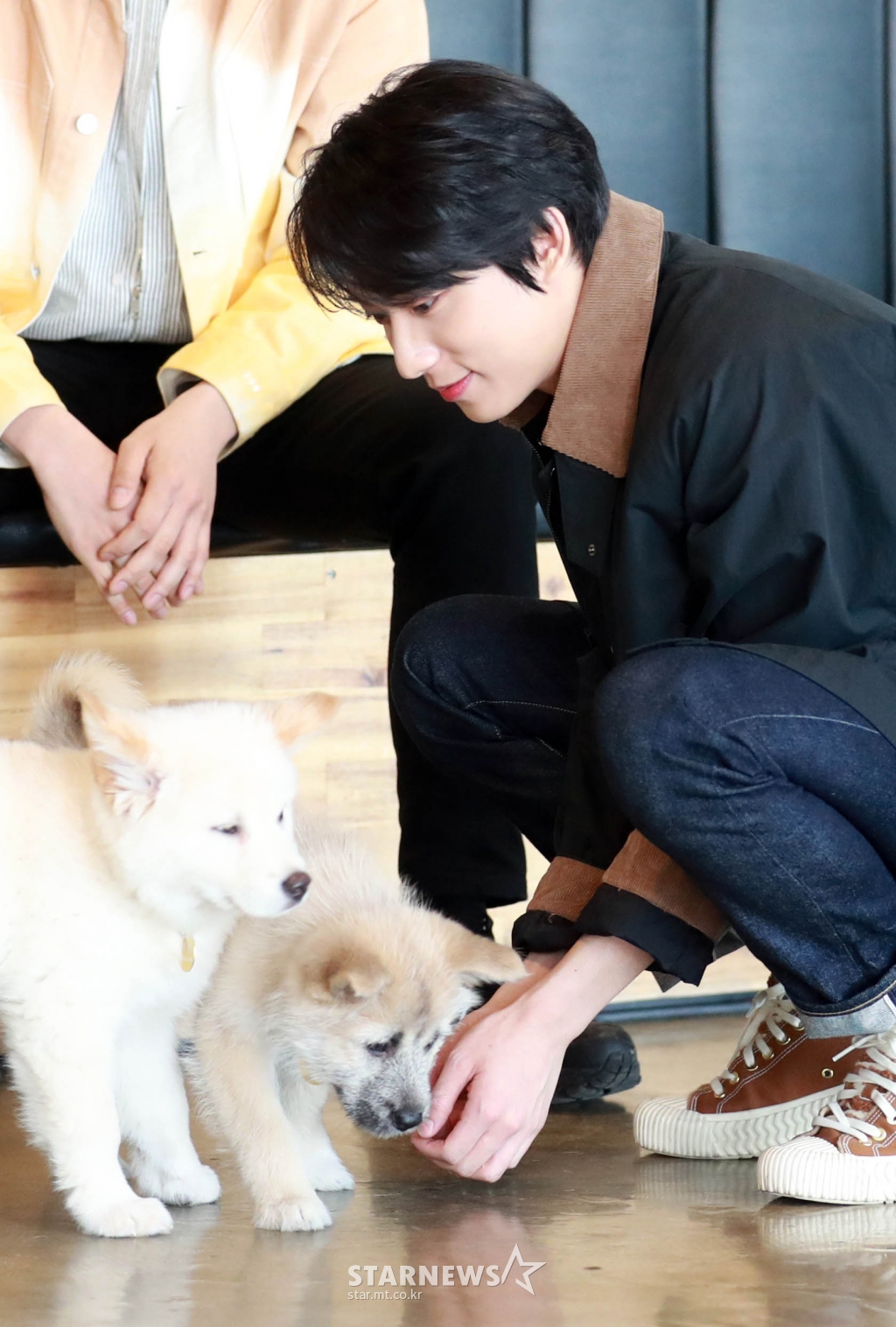 사진