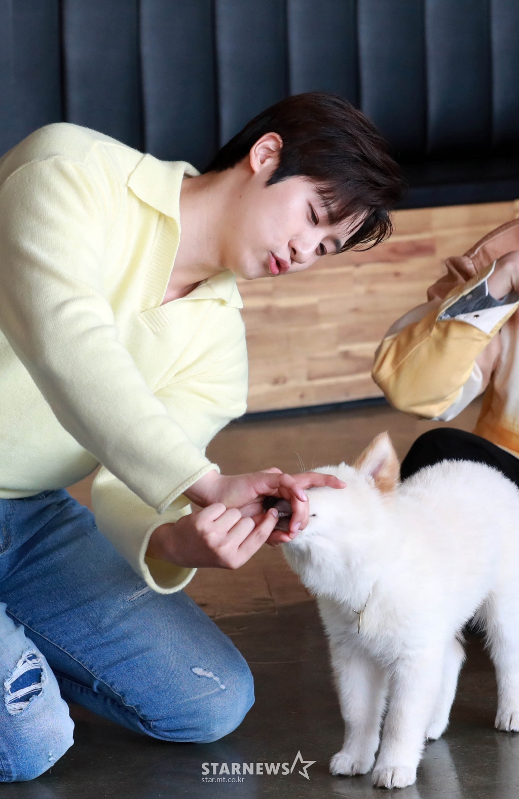사진