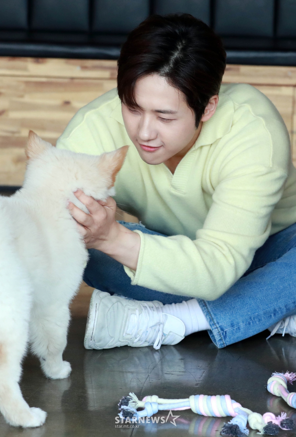 사진