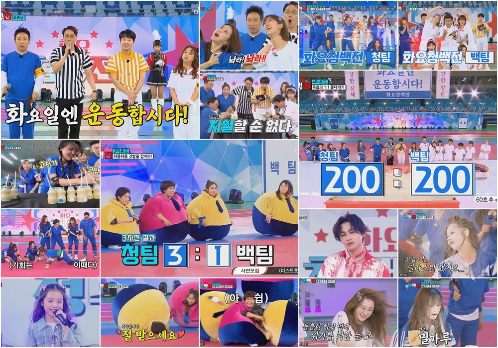 /사진=TV조선 '화요청백전' 영상 캡처
