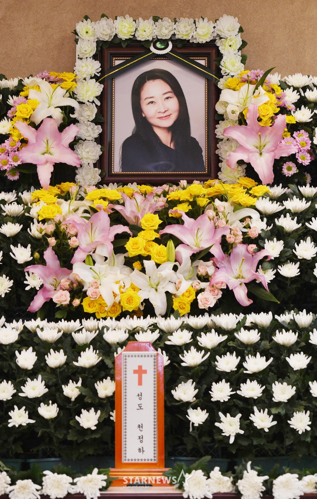 사진