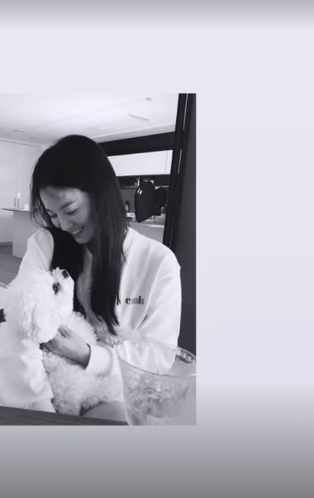 /사진=송혜교 인스타그램