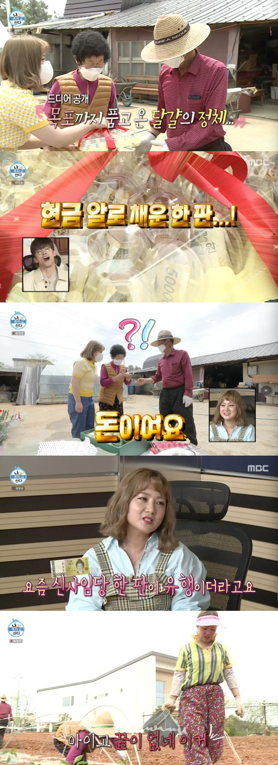 /사진=MBC '나 혼자 산다' 방송화면 캡처