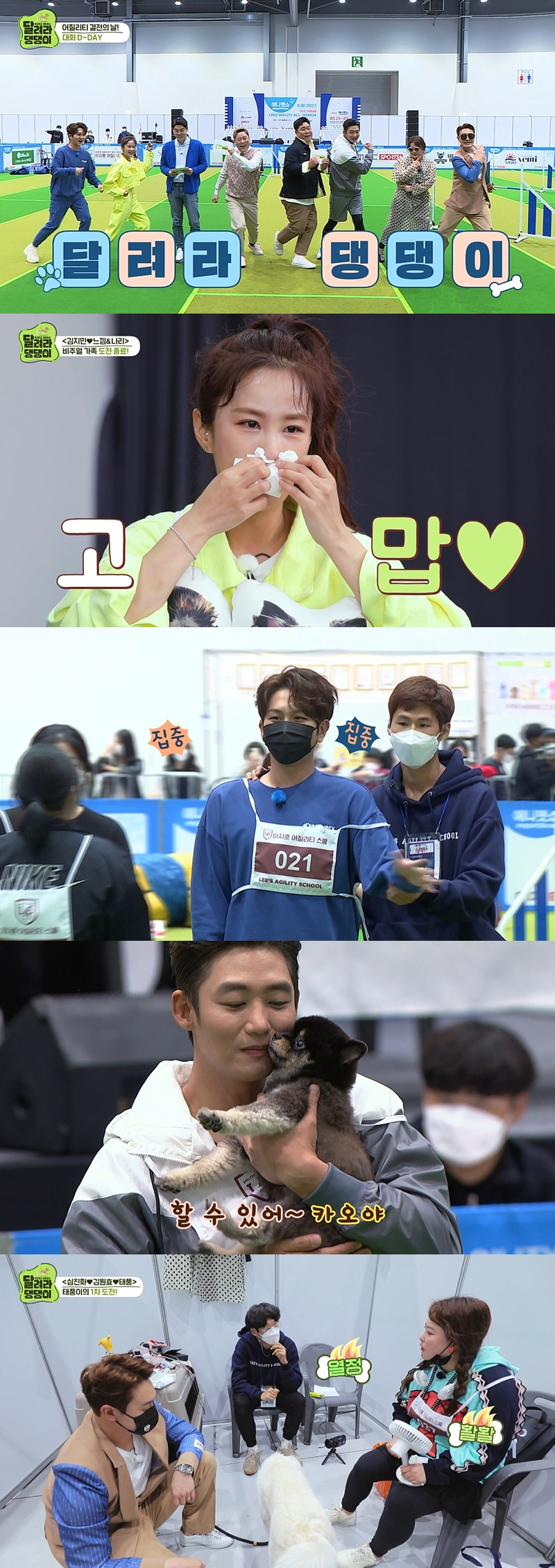 /사진=MBC 에브리원 '달려라 댕댕이'
