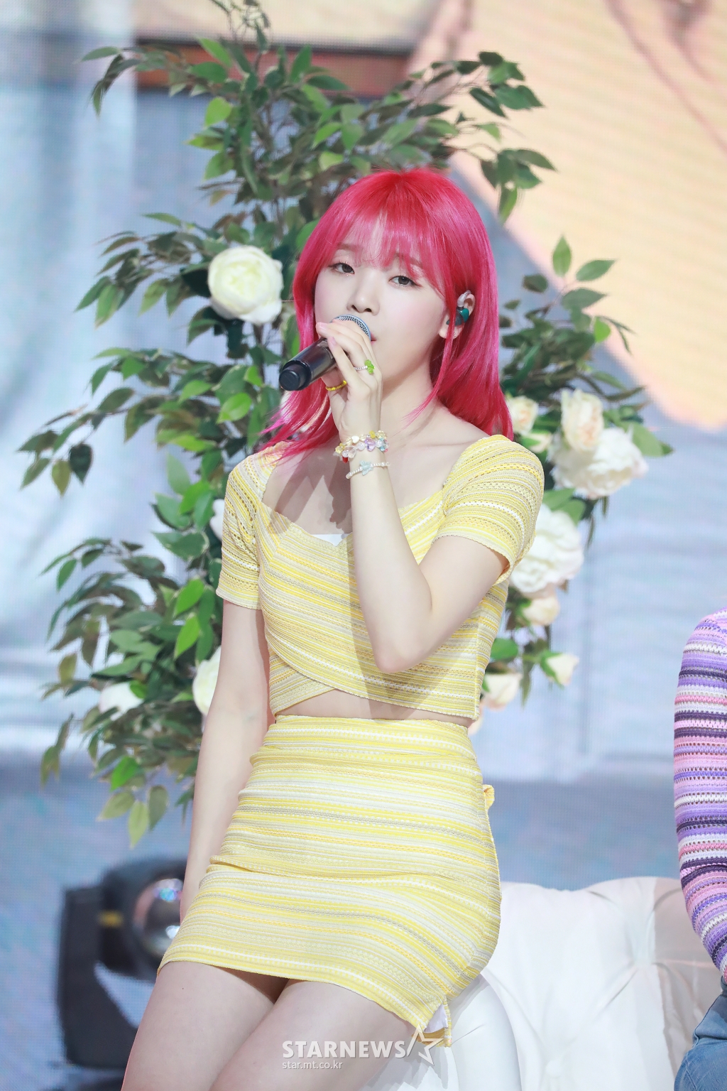 사진