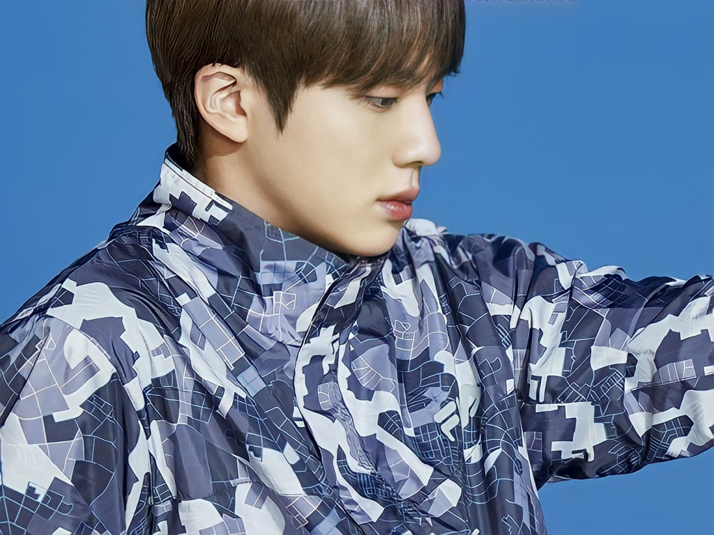방탄소년단 진(BTS JIN)