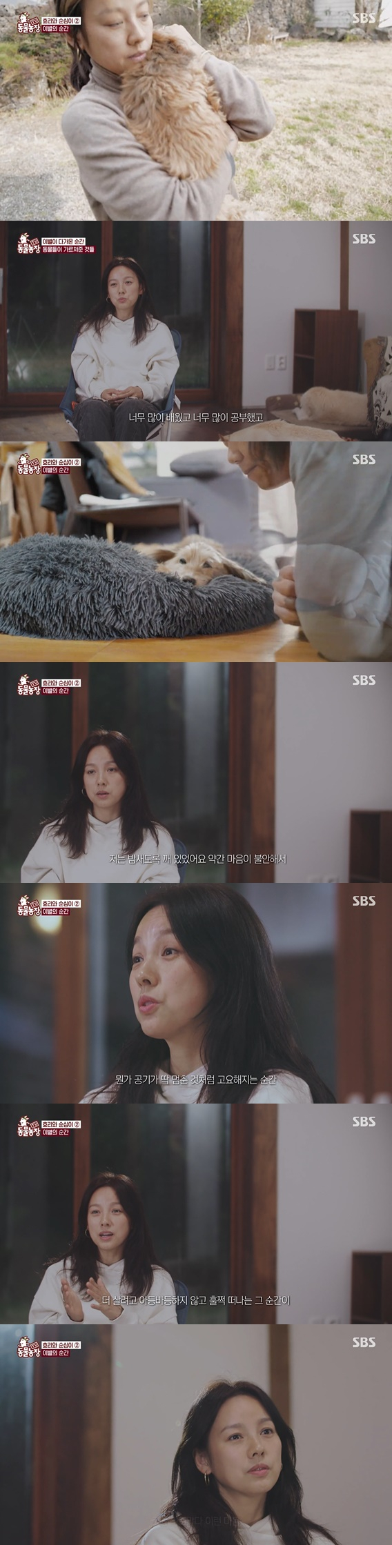 /사진='동물농장' 캡처