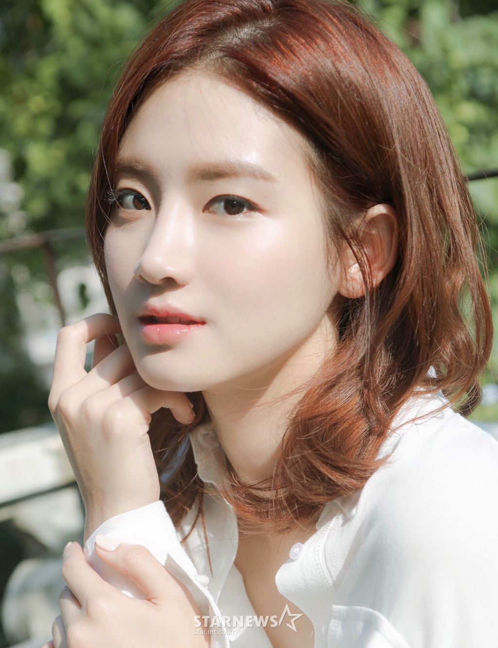 사진