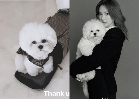 /사진=송혜교인스타그램