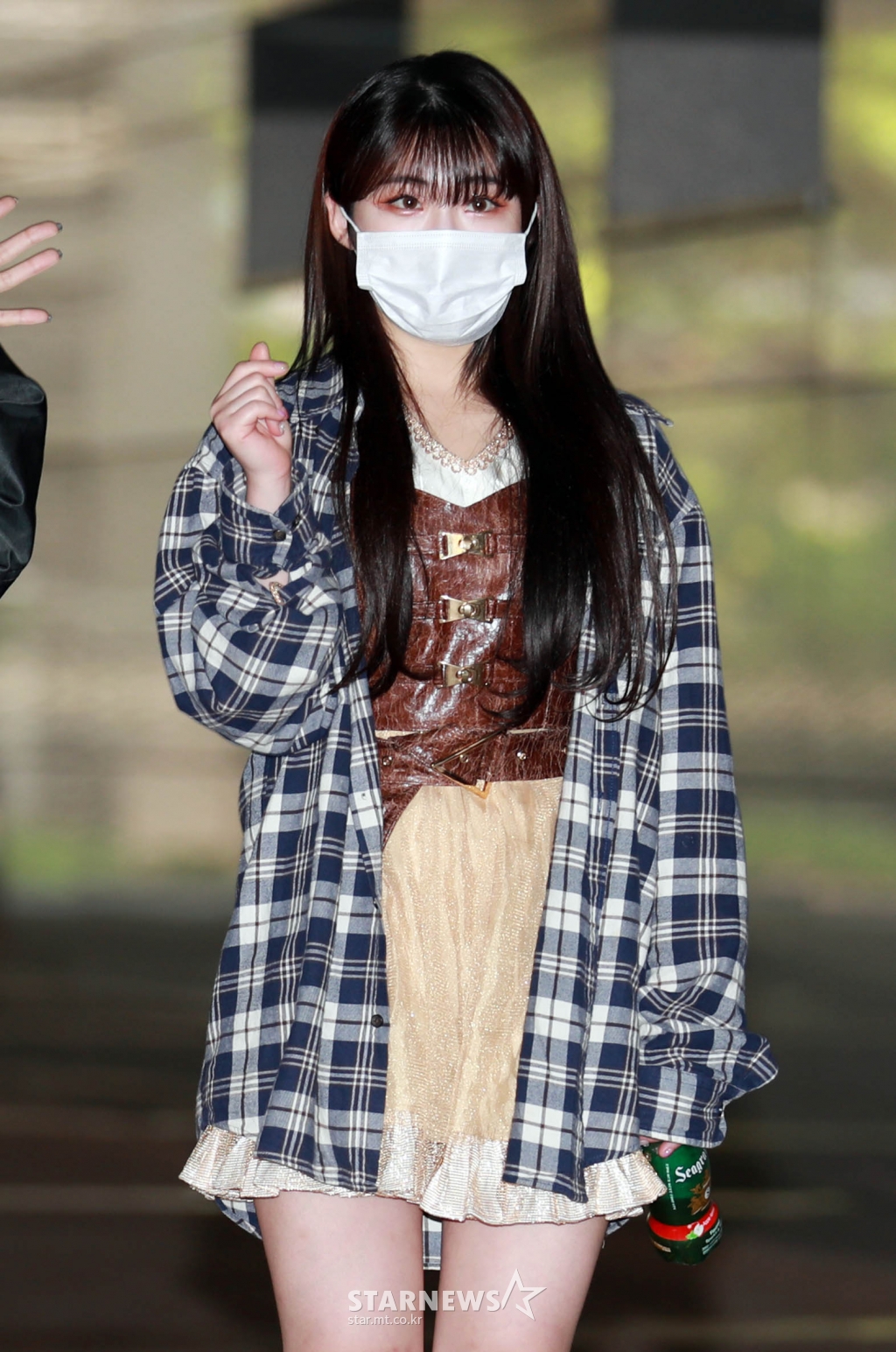 사진