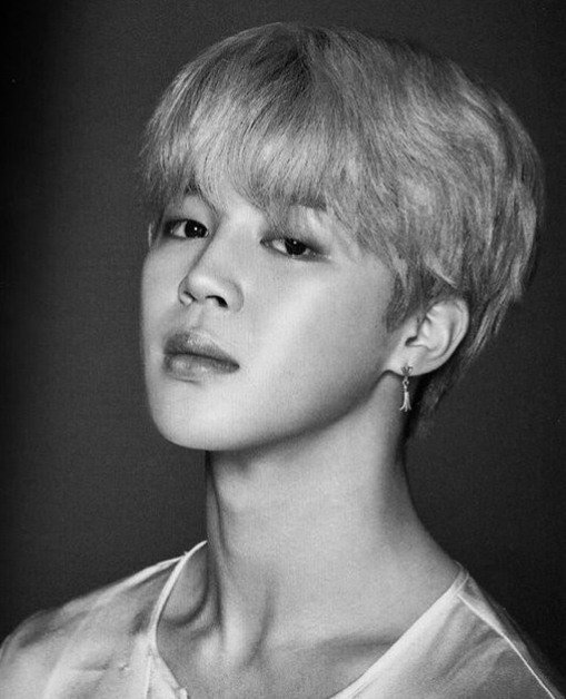 방탄소년단 지민(BTS JIMIN)