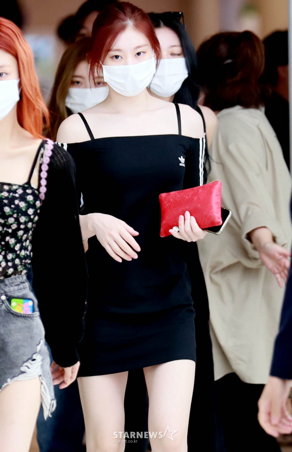 사진