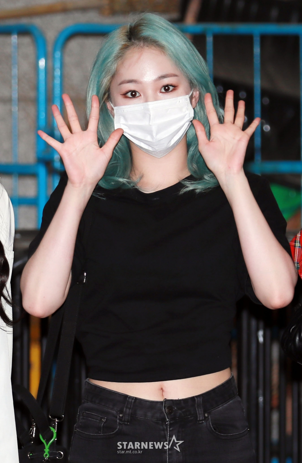 사진