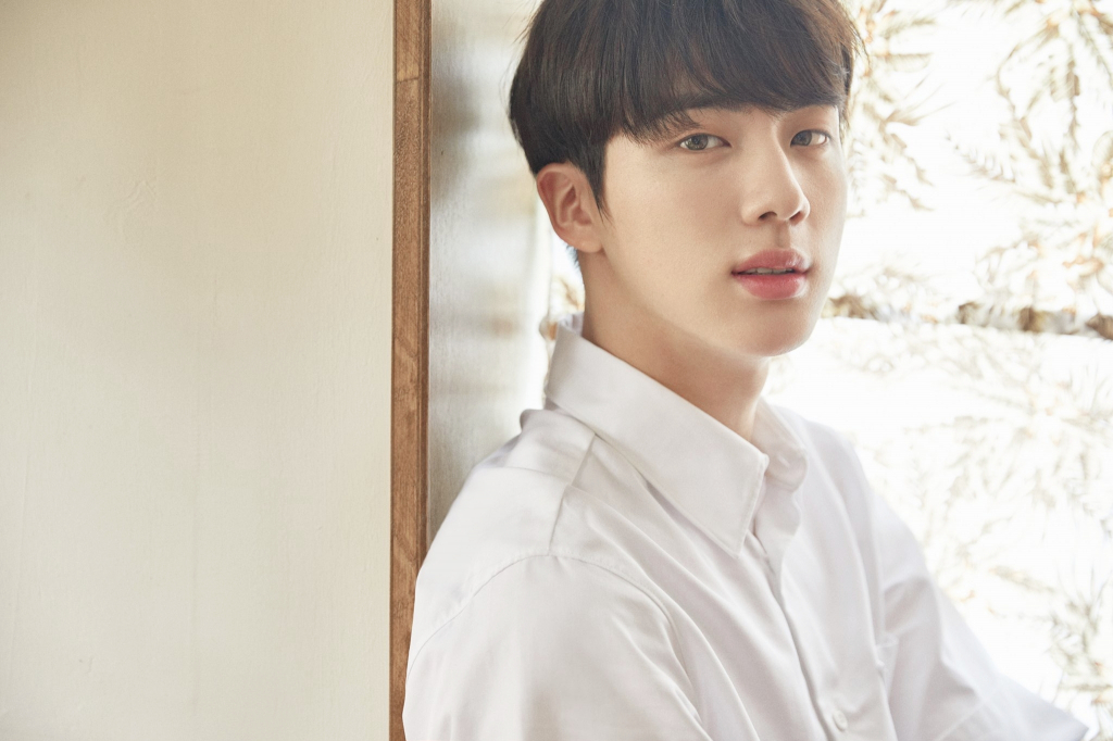 방탄소년단 진(BTS JIN)