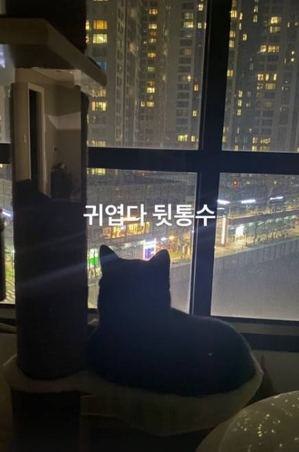 /사진=박수홍 인스타그램