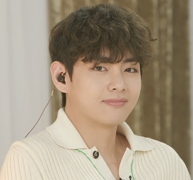 방탄소년단 뷔(BTS V)