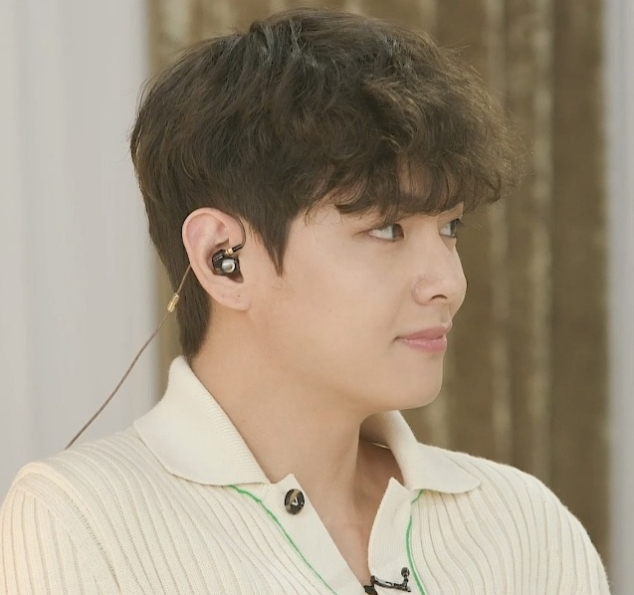 방탄소년단 뷔(BTS V)