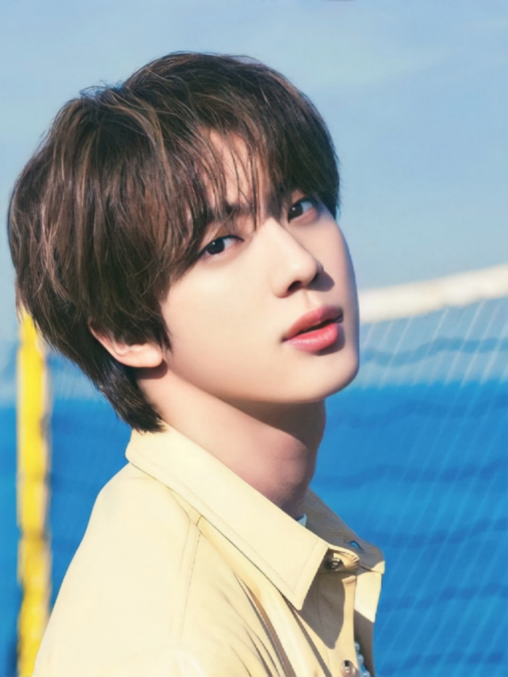 방탄소년단 진(BTS JIN)