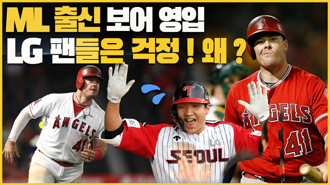 /그래픽=김혜림 기자