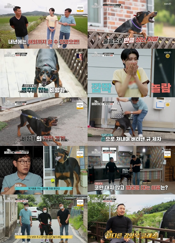 /사진=KBS