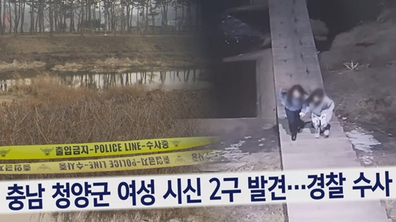 /사진제공=SBS
