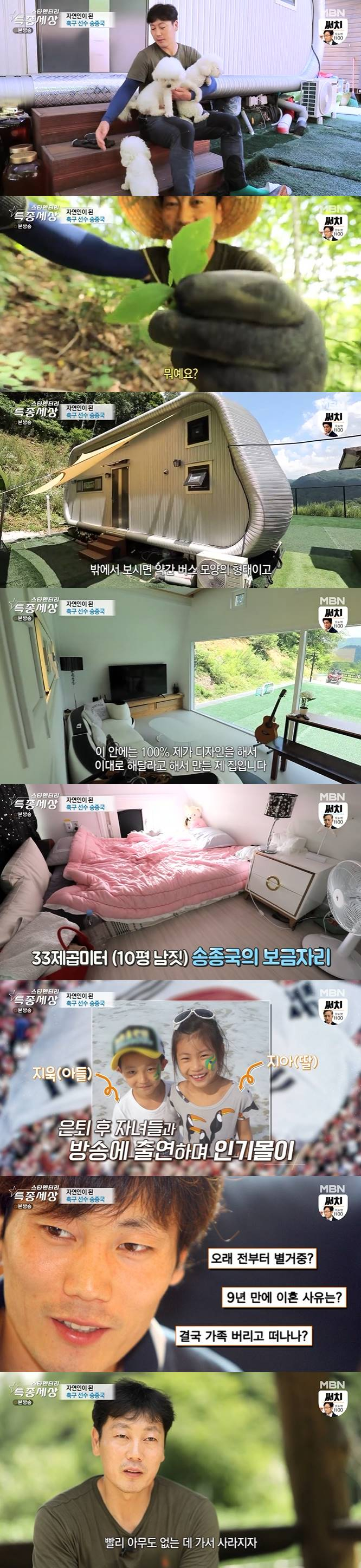 /사진=MBN '현장르포 특종세상' 방송 캡처